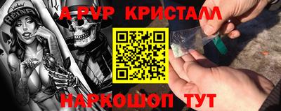 стафф Кингисепп