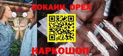 стафф Кингисепп