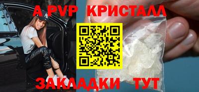 стафф Кингисепп