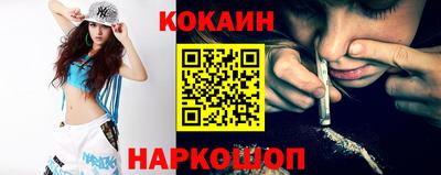 стафф Кингисепп