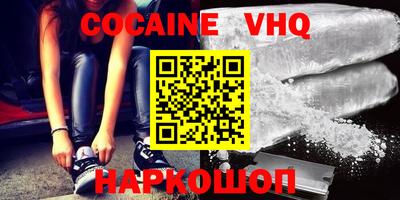 стафф Кингисепп