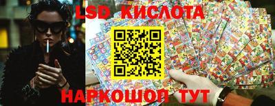 стафф Кингисепп