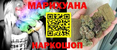 стафф Кингисепп