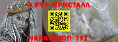 стафф Кингисепп