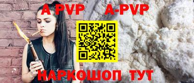 стафф Кингисепп