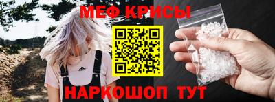 стафф Кингисепп