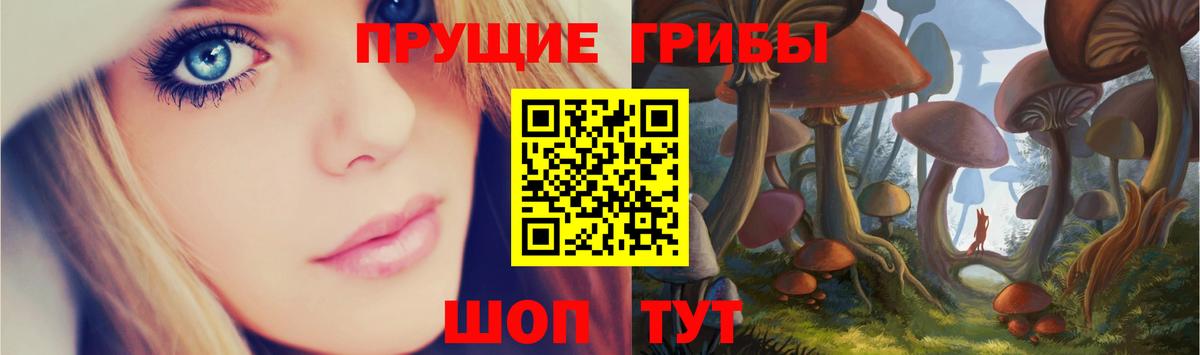где купить   Вход с VPN  Галлюциногенные грибы мухоморы  Красный Сулин  Псилоцибиновые грибы ЛСД 